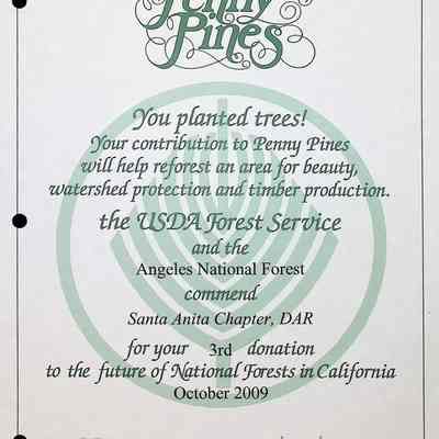 Penny Pines Certificate, 2009