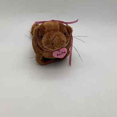 A Small Sea Lion Plush