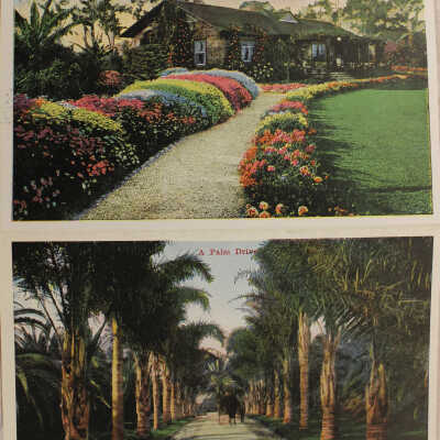 1- Bungalow in winter, 2- Palm lined street