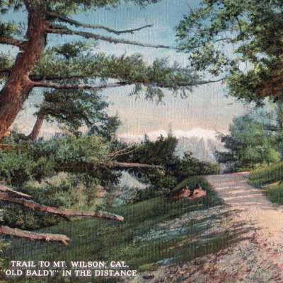 Trail to Mt. Wilson, Cal. "Old Baldy" in the distance.