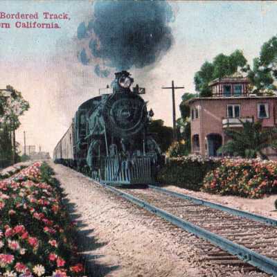 Flower Bordered Track, Southern California