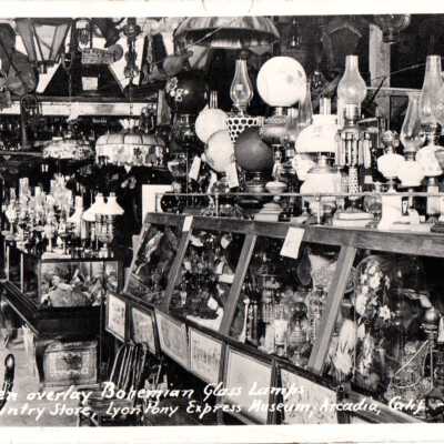 Dresden Overlay Bohemian Glass Lamps