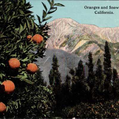 Oranges and Snow in California