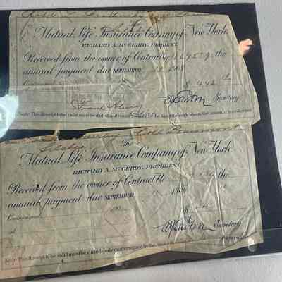 Mutual Life Insurance Company of New York receipts for premium payments September 1903 - September 1904