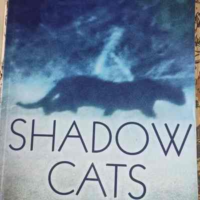 Shadow Cats by Michael Mayes