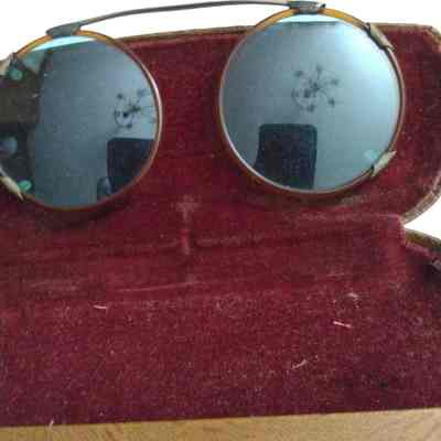Glasses with the case