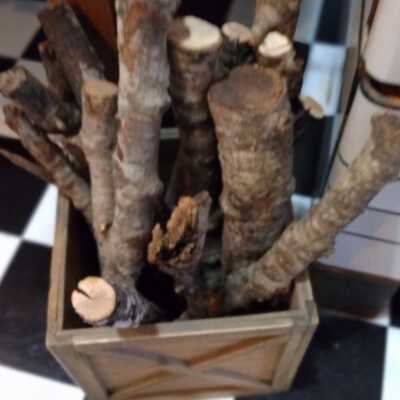 1920 Kitchen firewood