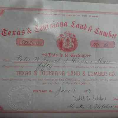 Texas & Louisiana Land & Lumber Stock issued to Nathaniel D Silsbee June 1, 1887 - $400,000