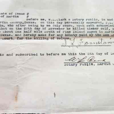 Affidavit of Wolf Kill by J L Fountain