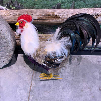 Stuffed Rooster