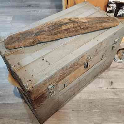 Trunk