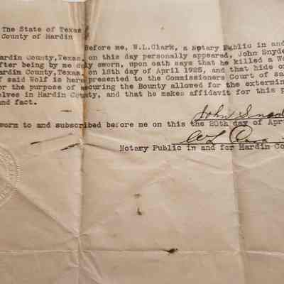 Affidavit of Wolf Kill by John Snyder