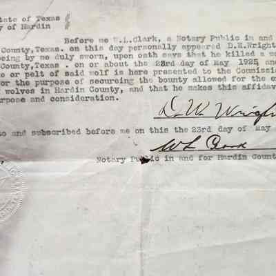Affidavit of Wolf Kill by D W Wright