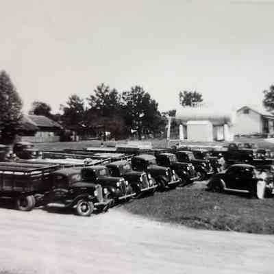 Fleet of Britton Craven Lumber Trucks