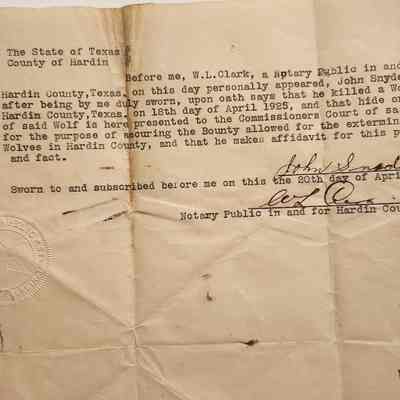 Affidavit of Wolf Kill by John