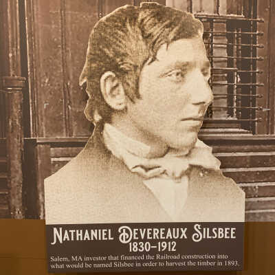 Nathaniel D. Silsbee