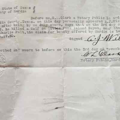 Affidavit of Wolf Kill by A J Wilson