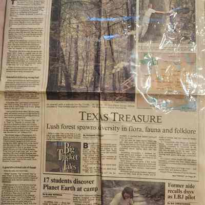 Big Thicket Texas Treasure - Houston Chronicle