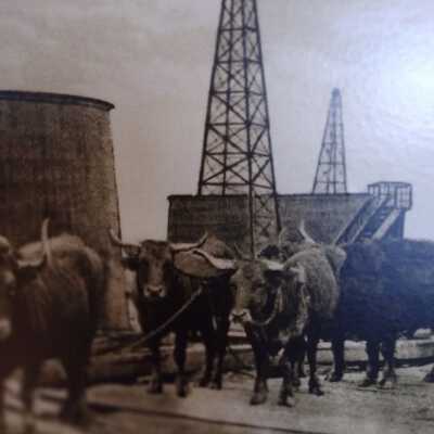 Oil field Batson