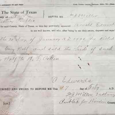 Affidavit of Wolf Kill by A Edwards