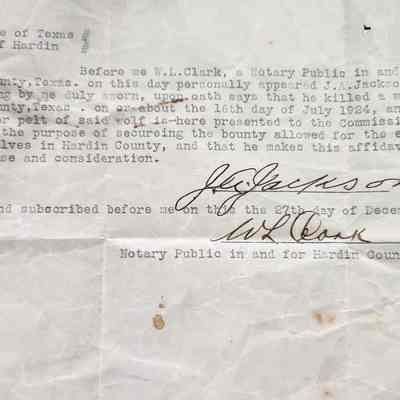 Affidavit of Wolf Kill by J A Jackson