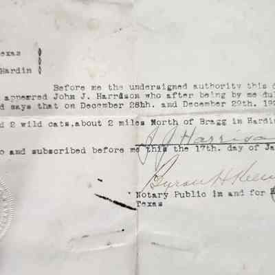 Affidavit of Wild Cat Kill by John J Harrison