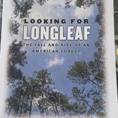 Looking for Longleaf book by Lawrence S. Earley