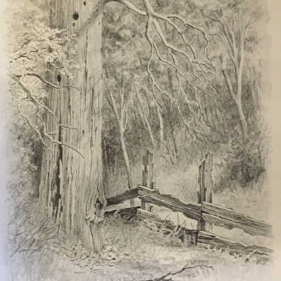 Drawing: Lost Fence by Woodrow Foster
