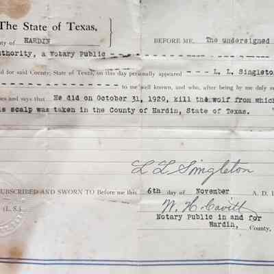 Affidavit of Wolf Kill by L L Singleton