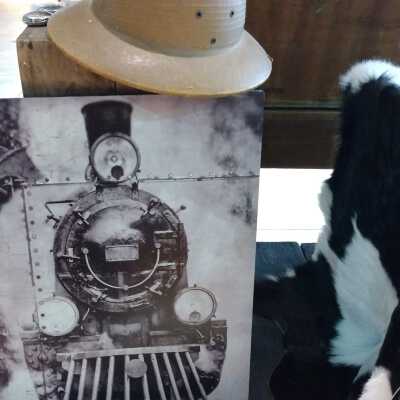 Hat and Photos from Lillard, Texas - Thomas Edgar Brown