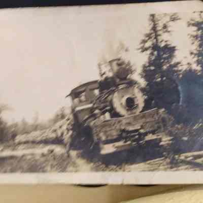 Photo of Kirby Log Train