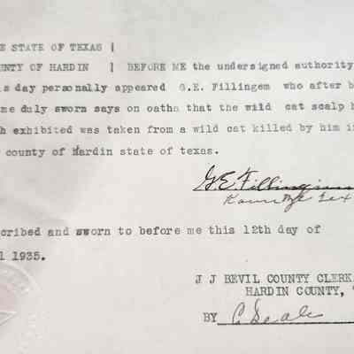 Affidavit of Wildcat Kill by G E Fillingem