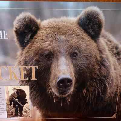Predators of the Big Thicket poster