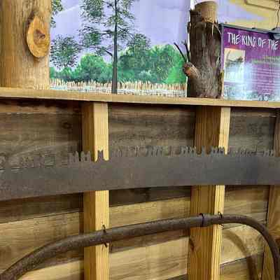 Cross Cut Saw