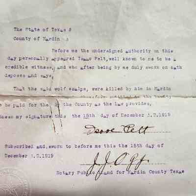 Affidavit of Wolf Kill by Isaac Pelt