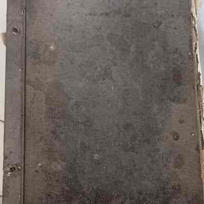 Scrapbook of the Big Thicket - origin unknown