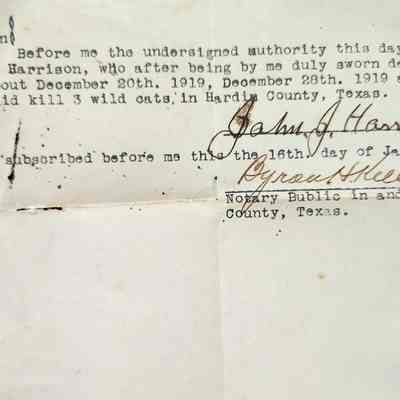 Affidavit for Kill of Wild Cats by John Harrison