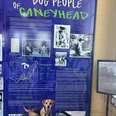 Dog People Signs