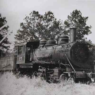 Photo of Steam Engine 17