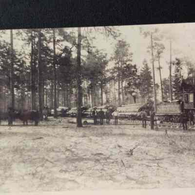 Photo of Train with logs at Colmesneil, Texas