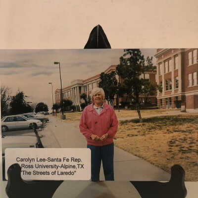 Streets of Laredo - Carolyn Lee