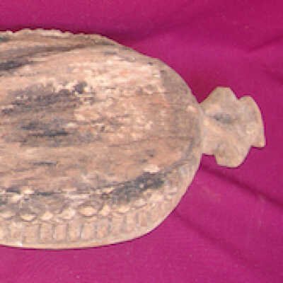 Dish