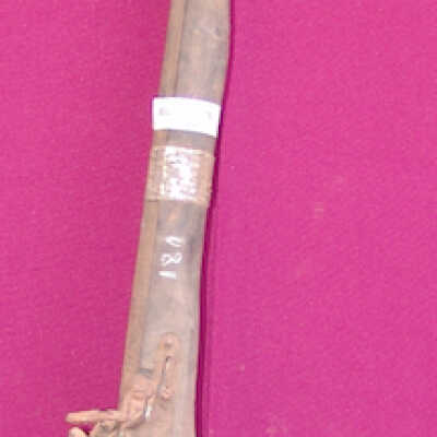 Dane gun