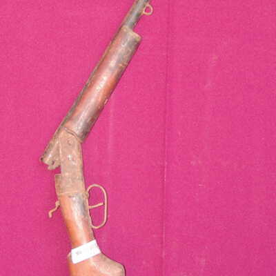 Dane gun