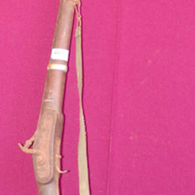 Dane gun