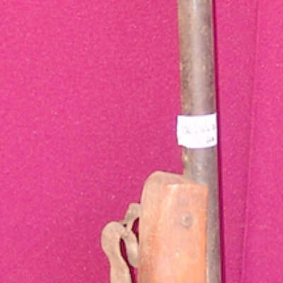 Dane gun