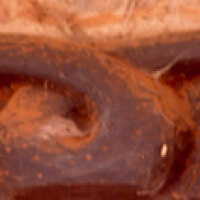 Door posts and lintel - Image 2