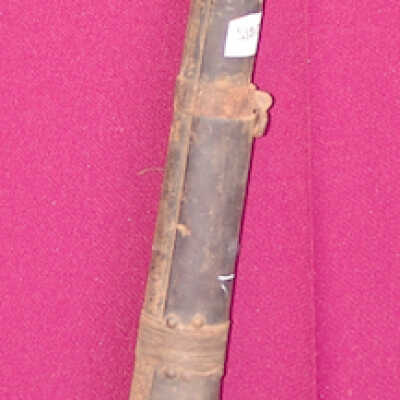 Dane gun