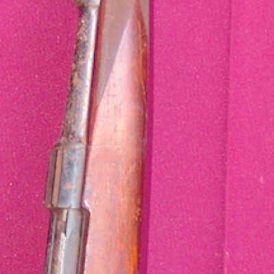 Dane gun