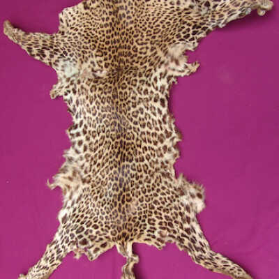 Leopard skin